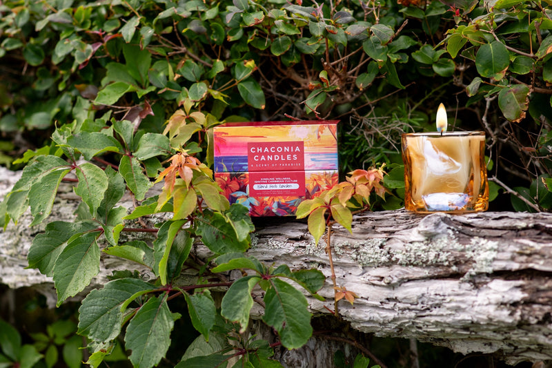 Hibiscus Haven — Candle