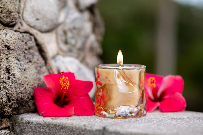 Hibiscus Haven — Candle