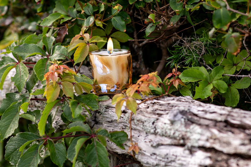 Island Herb Garden — Candle